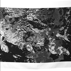 NEW Cell B/W Tapestry